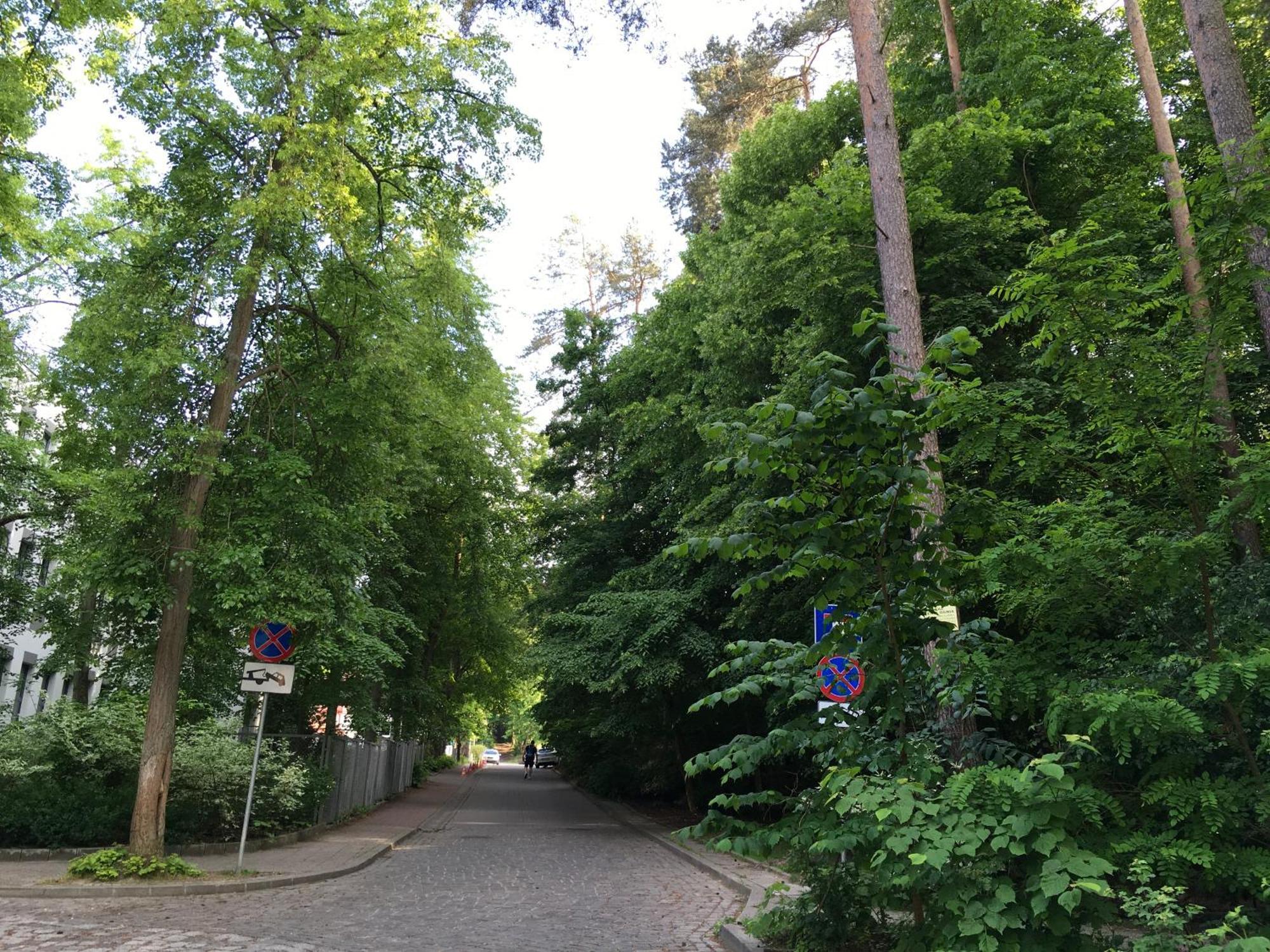 Przytulny Apartament Blisko Lasu Z Szybkim Wi-Fi Sopot Bagian luar foto